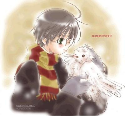 Chouette Harry Potter Dessin Beau Image Harry Et Sa Chouette Hedwige Harry Potter En Manga