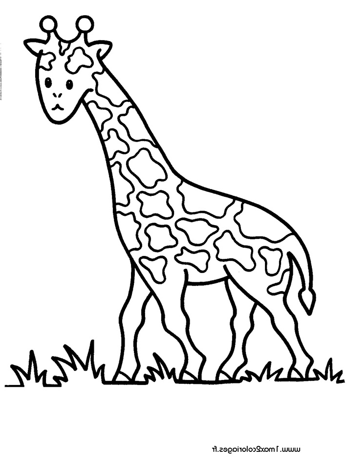 Coloriage 4 Ans à Imprimer Nouveau Collection Coloriages Pour Les 3 4 Ans Girafe A Imprimer