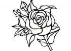 Coloriage à Imprimer Fleurs Bestof Galerie Coloriage Rose Fleur Dessin