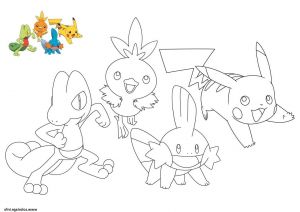 Coloriage à Imprimer Pokemon Pikachu Luxe Collection Coloriage Pokemon Pikachu Treecko torchic Mudkip