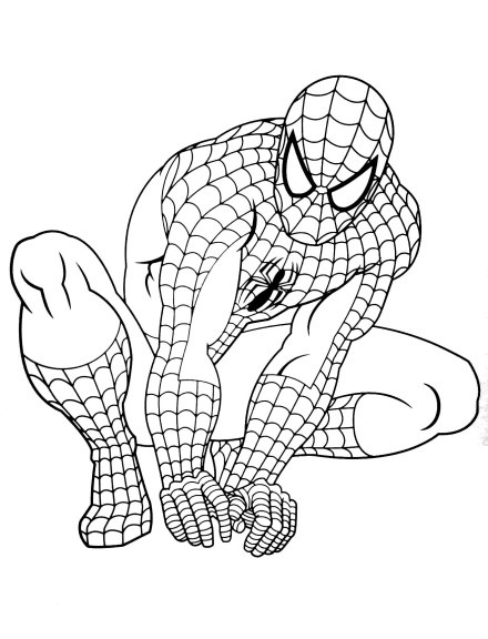 Coloriage à Imprimer Spiderman Beau Image Coloriage Spiderman à Imprimer