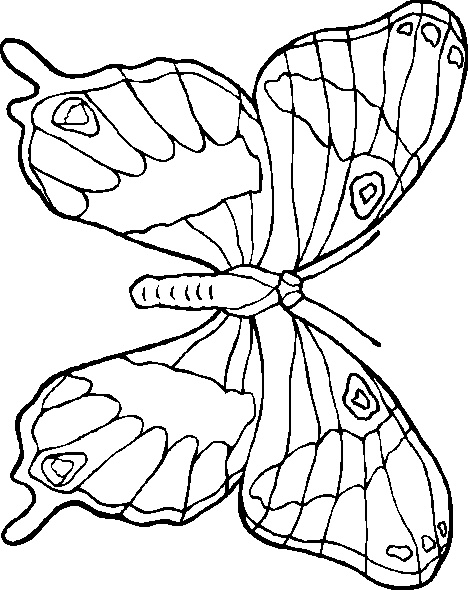 Coloriage à Imprimer Vaiana Impressionnant Photographie Coloriage De Papillon à Imprimer