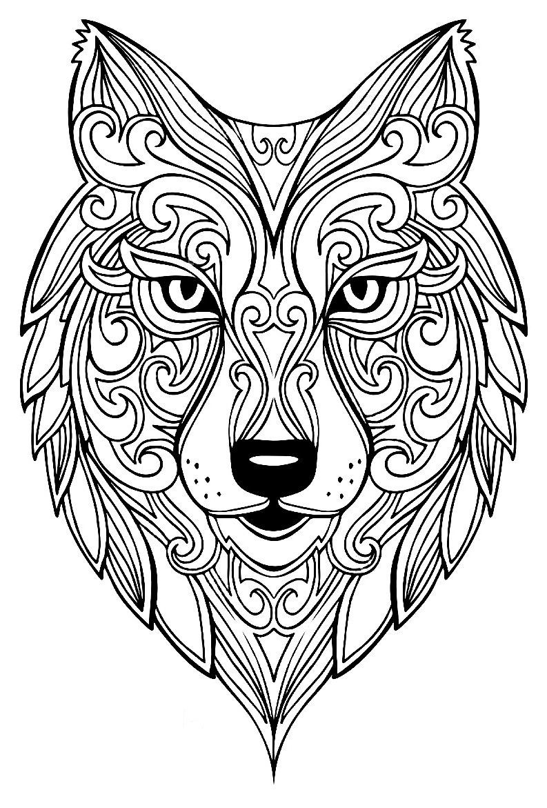 Coloriage Adulte Loup Beau Stock Image Coloriage Difficile Animaux Lion Coloriage Mandala