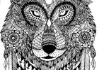 Coloriage Adulte Loup Inspirant Galerie 289 Best Images About Animal Coloring On Pinterest