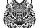 Coloriage Adulte Loup Inspirant Photographie Coloriage Dessin Difficile Adulte Loup Zen Dessin