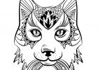 Coloriage Animaux Beau Galerie Animaux Sauvages Flânerie Et Coloriage Créapassions