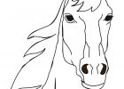 Coloriage Animaux Beau Image Nouveau Dessins A Colorier Animaux De La Ferme