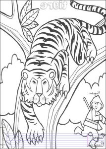 Coloriage Animaux De La Jungle Beau Images Coloriage Tigre 1 Coloriages Animaux De La Jungle En