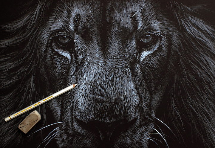 Coloriage Animaux Sauvages Lion Beau Photos Les Dessins Et Peintures D Animaux Sauvages De Richard