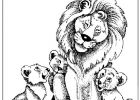 Coloriage Animaux Sauvages Lion Inspirant Photos Coulorage Dessin Et Coloriage De Lion à Imprimer