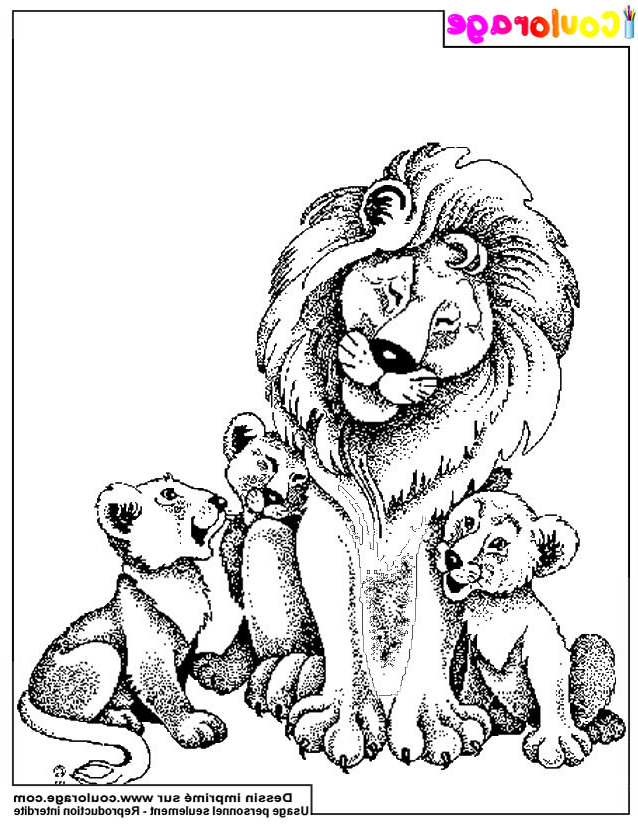 Coloriage Animaux Sauvages Lion Inspirant Photos Coulorage Dessin Et Coloriage De Lion à Imprimer