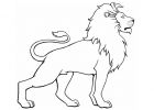 Coloriage Animaux Sauvages Lion Nouveau Stock Dessin De Lion 6