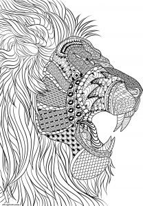 Coloriage Anti Stress Impressionnant Images Coloriage Lion Adulte Anti Stress Dessin