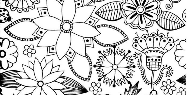 Coloriage Anti Stress Inspirant Image Ecole Du Bout Du Monde Coloriages