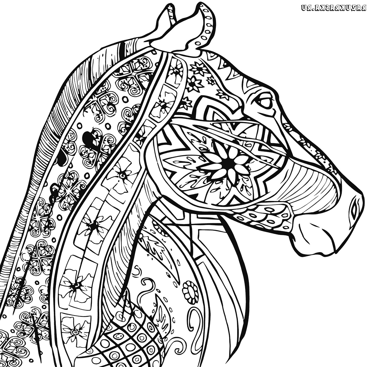 Coloriage Antistress Inspirant Images Coloriage Anti Stress Cheval