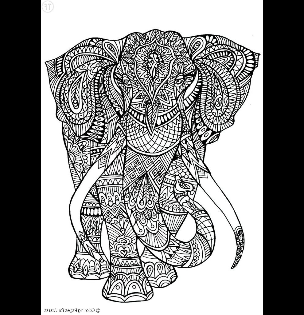 Coloriage Antistress Luxe Stock Coloriage Anti Stress à Imprimer Elephant