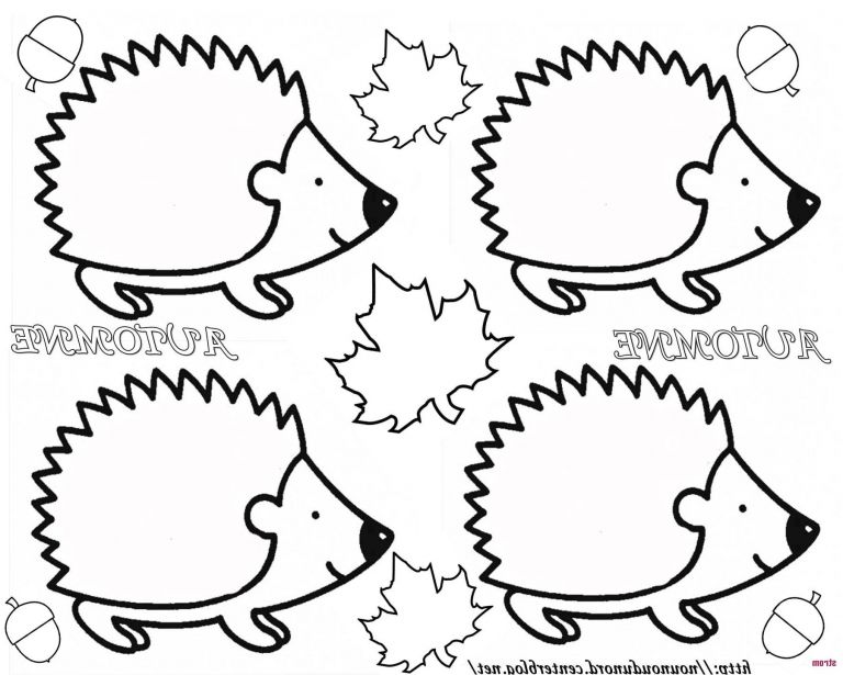 Coloriage Automne Maternelle Luxe Images Coloriage Feuille D Automne Ms