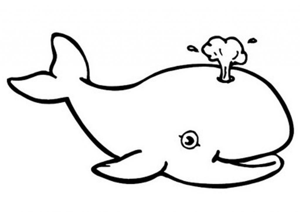 14 Unique De Coloriage Baleine Photos - Coloriage : Coloriage