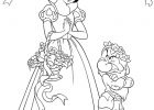 Coloriage Blanche Neige Inspirant Collection Coloriage Blanche Neige