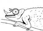 Coloriage Caméléon Inspirant Photos Coloriage Le Caméléon Coloriage Caméléon à Imprimer