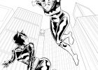 Coloriage Catwoman Impressionnant Collection Coloriage Batgirl Catwoman Cherchent Wonder Woman Dessin