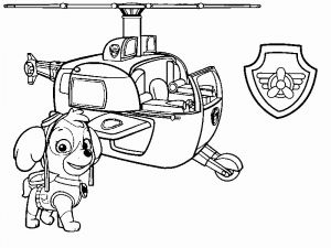 Coloriage Chase Bestof Image Download 70 Tracker Pat Patrouille