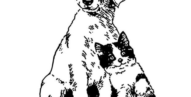 Coloriage Chat Et Chien Beau Photos Coloriages Adultes Chien