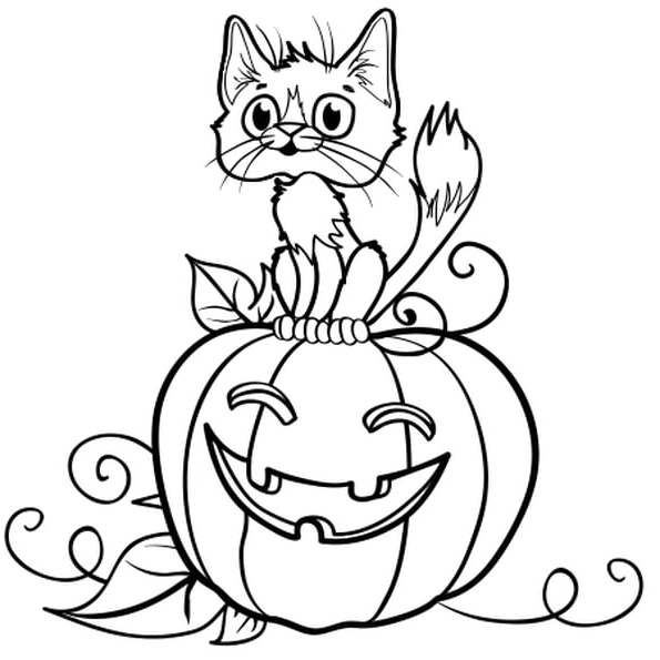 Coloriage Chat Halloween Inspirant Photos Halloween Chat Et Citrouille Coloriage Halloween Chat Et