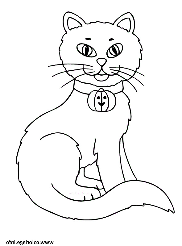 Coloriage Chats Bestof Images Coloriage Chat Halloween Dessin