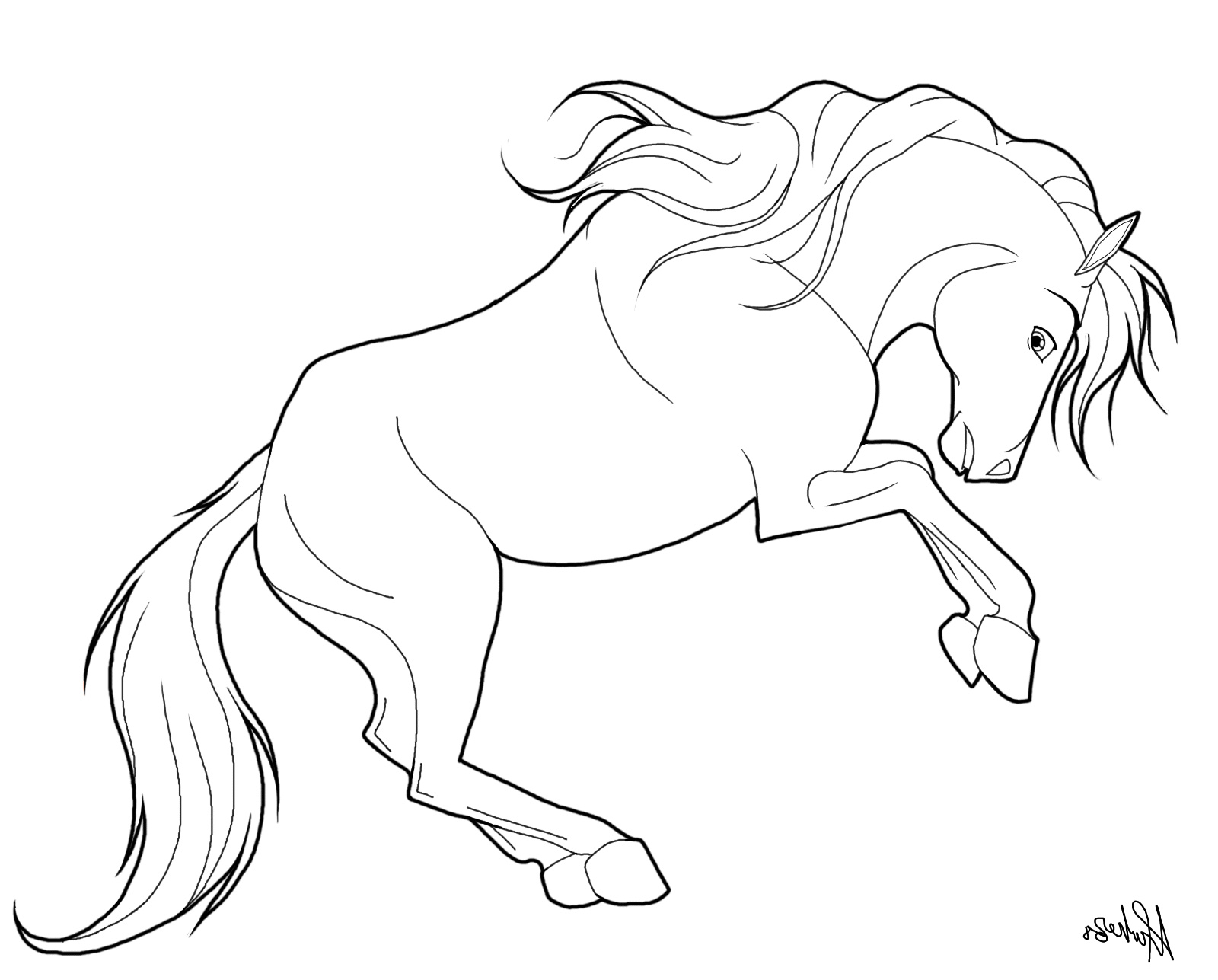 Coloriage Cheval Dressage Bestof Photographie Coloriage Cheval Dressage