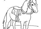 Coloriage Chevaux A Imprimer Luxe Images Coloriage De Cheval Dessin Avec Une Selle sous Un Arbre