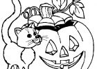 Coloriage Citrouille Unique Photographie Coloriage De Citrouille D Halloween Coloriages D
