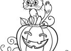 Coloriage D Halloween Élégant Photographie Halloween Chat Et Citrouille Coloriage Halloween Chat Et