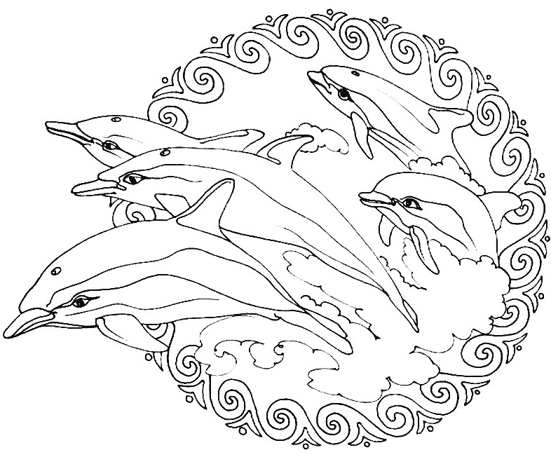 Coloriage Dauphin Sirene Élégant Photos Coloriage à Imprimer Gratuit Sirene Et Dauphin Dessins
