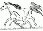 Coloriage De Chevaux à Imprimer Beau Photos Coloriage Cheval