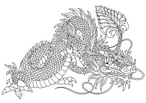 Coloriage De Dragons Beau Photos Dragon Malicieux Dragons Coloriages Difficiles Pour