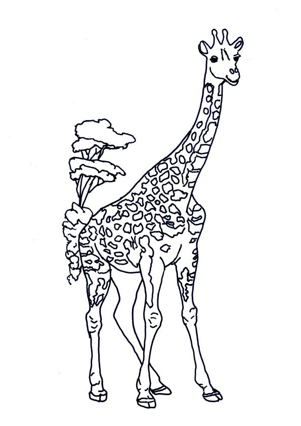 Coloriage De Girafe Inspirant Stock Coloriage Pour Enfants Dessin D’une Girafe