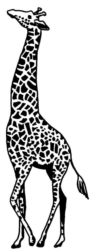 Coloriage De Girafe Luxe Images Coloriage Girafe Les Beaux Dessins De Animaux à Imprimer
