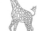 Coloriage De Girafe Unique Photographie Dessins Gratuits À Colorier Coloriage Girafe À Imprimer