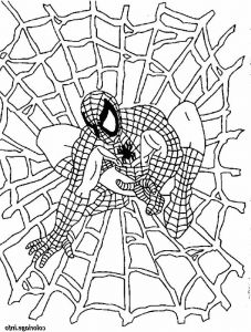 Coloriage De Spiderman à Imprimer Cool Collection Coloriage Spiderman 13 Jecolorie