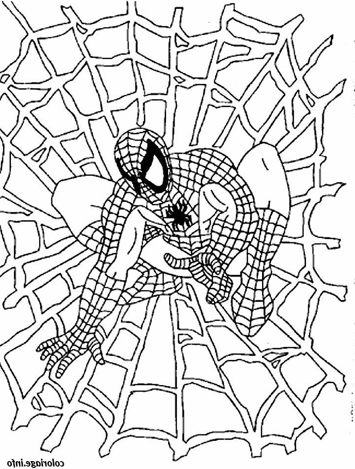 Coloriage De Spiderman à Imprimer Cool Collection Coloriage Spiderman 13 Jecolorie