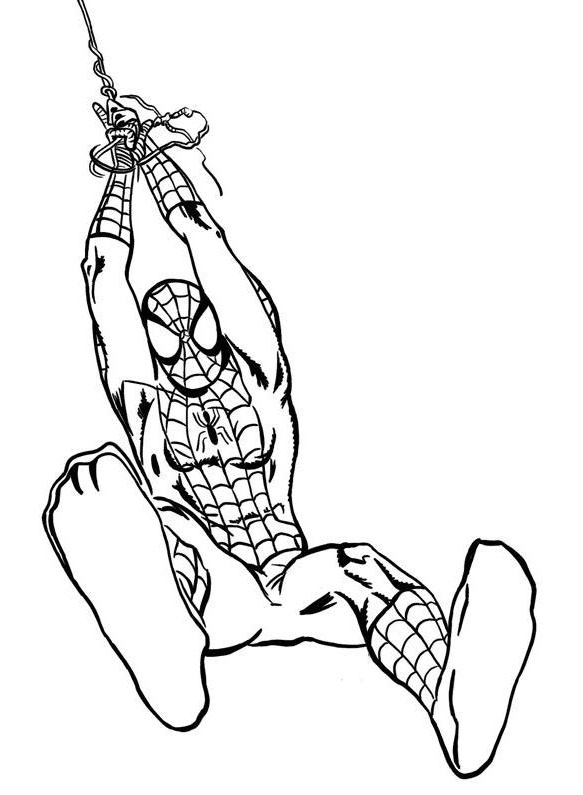 Coloriage De Spiderman à Imprimer Unique Collection Coloriage Spiderman Les Beaux Dessins De Super Héros à