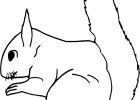 Coloriage Des Animaux Inspirant Galerie Coloriage A Animaux