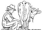 Coloriage Des Animaux Inspirant Photos Coloriage Animaux De La Ferme à Imprimer Gratuitement