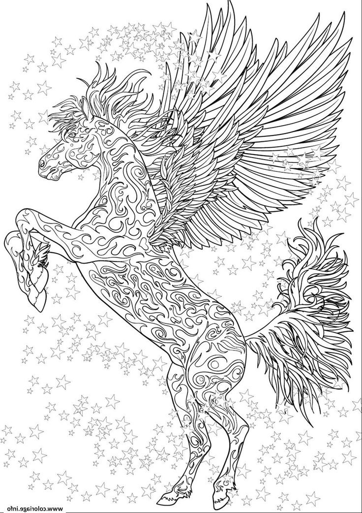 Coloriage Difficile Animaux Cool Collection Coloriage Cheval Adulte Licorne Ailes Antistress Etoiles