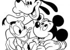 Coloriage Dingo Cool Photos Coloriage Mickey Avec Ses Amis Dingo Et Donald Dessin