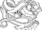 Coloriage Dragon Chinois Luxe Collection 19 Dessins De Coloriage Dragon Chinois à Imprimer