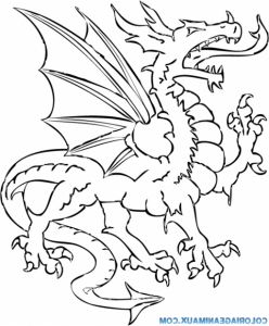 Coloriage Dragons Bestof Image 157 Dessins De Coloriage Dragon à Imprimer Sur Laguerche