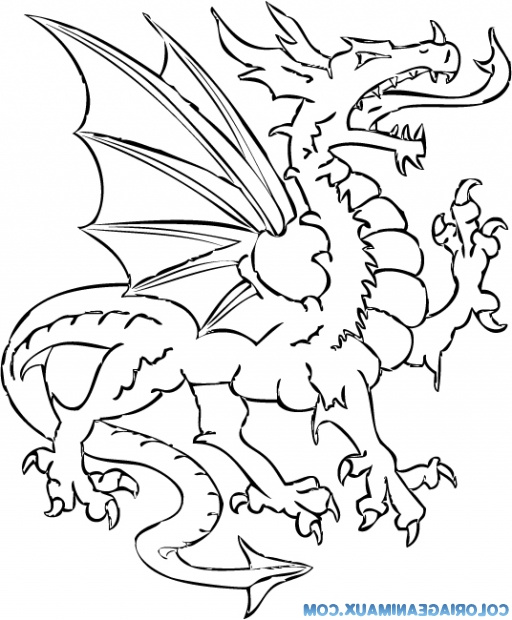 Coloriage Dragons Bestof Image 157 Dessins De Coloriage Dragon à Imprimer Sur Laguerche