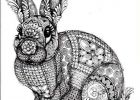 Coloriage Dur Luxe Galerie Dibujos De Mandalas De Animales Y Flores Para Colorear
